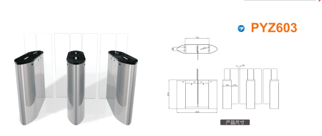 渭南高新区平移闸PYZ603